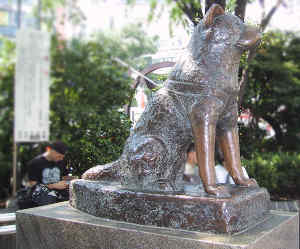 statua-hachiko