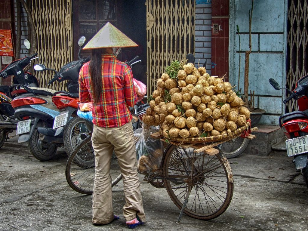 Vietnam Hanoi Foto Gallery