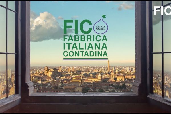 Fico Bologna apertura, organizza un weekend a Bologna alla scoperta di Fico