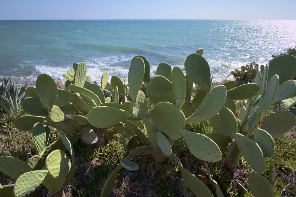 Vacanze a Punta Sampieri in Costa Iblea: mare cristallino, borghi barocchi e spiagge tranquille